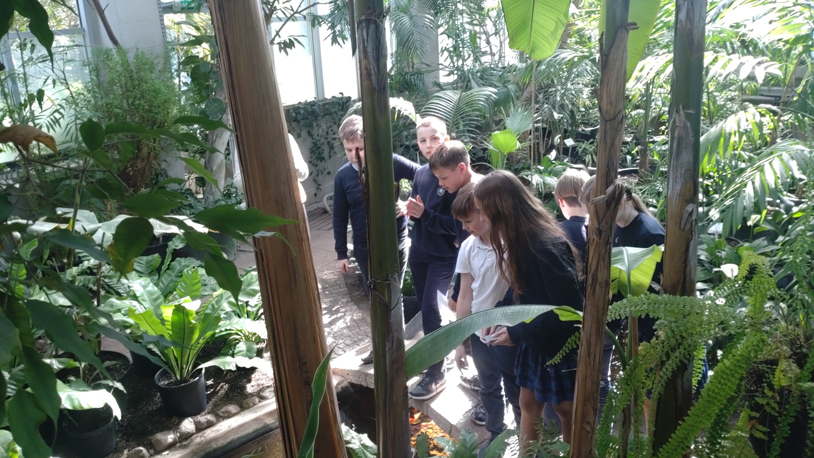 Balandžio 11 d. 5f klasės mokiniai keliavo į Kauno VDU Botanikos sodą
